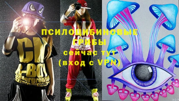 спиды Заволжье