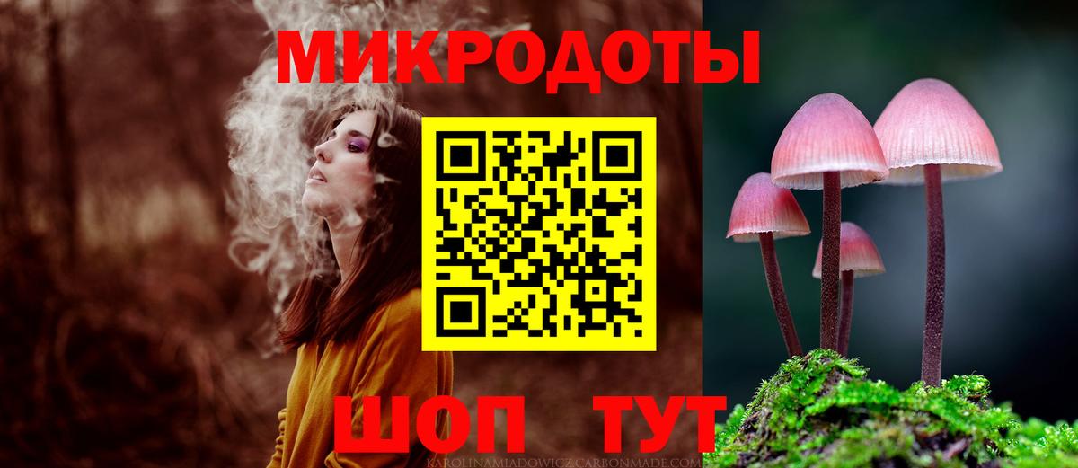 Псилоцибиновые грибы Psilocybe  Вход с VPN  Спасск-Дальний 